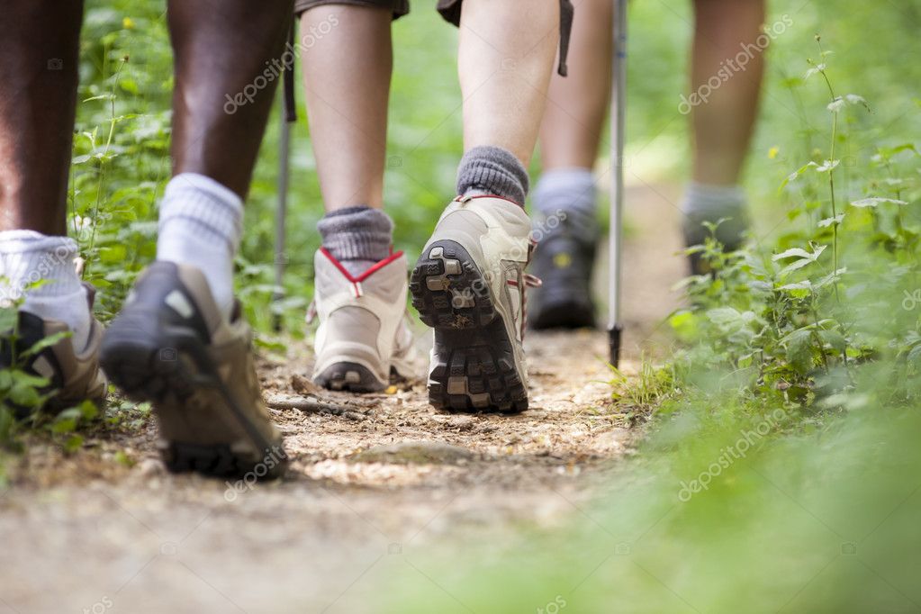 Groupe en randonnée sur un sentier
